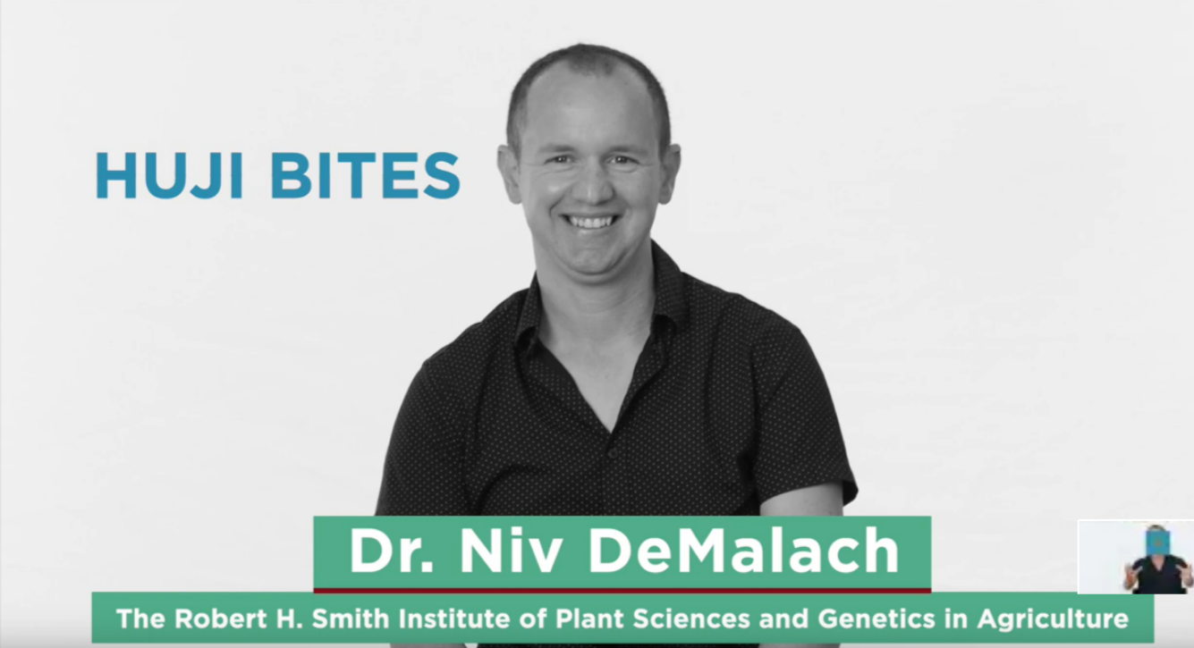 HUJI Bites: Dr. Niv DeMalach — Die Zukunft der Pflanzen