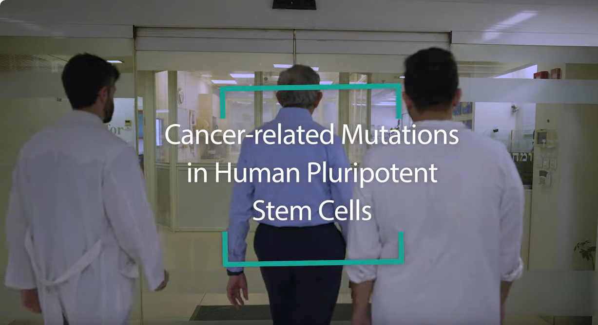 Krebsbedingte Mutationen in pluripotenten Stammzellen | Prof. Nissim Benvenisty