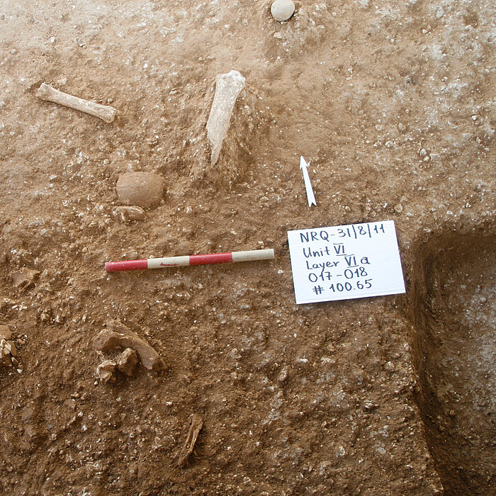 Als archaischer Homo auf den Homo sapiens traf